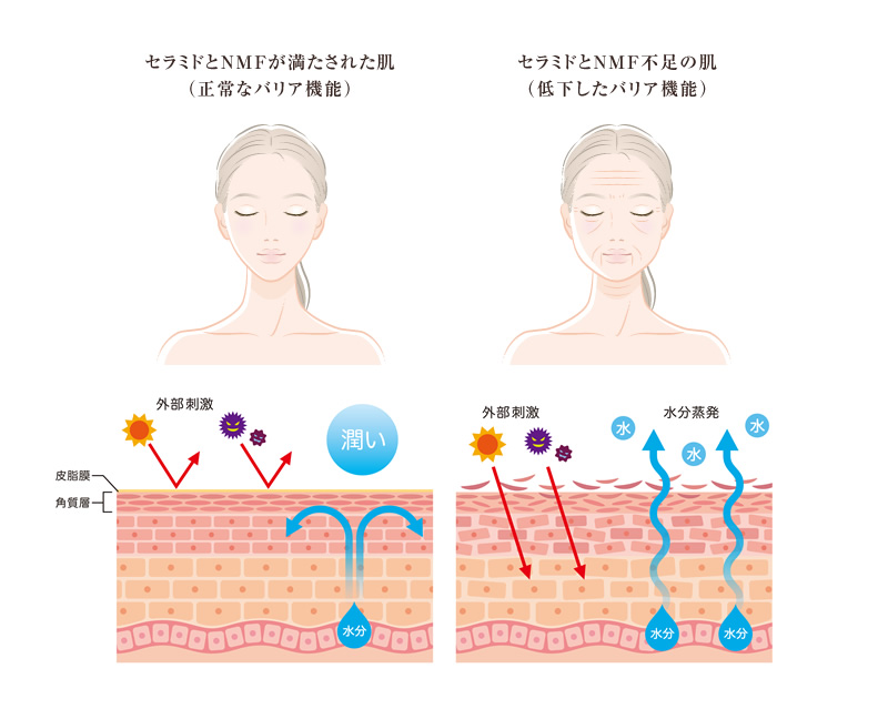 ×植物由来界面活性剤, ×石油系界面活性剤